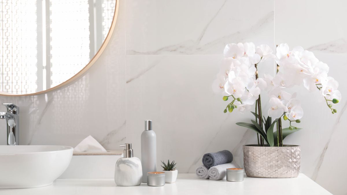 A white orchid in a bathroom next to the sink and mirror