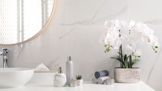 A white orchid in a bathroom next to the sink and mirror