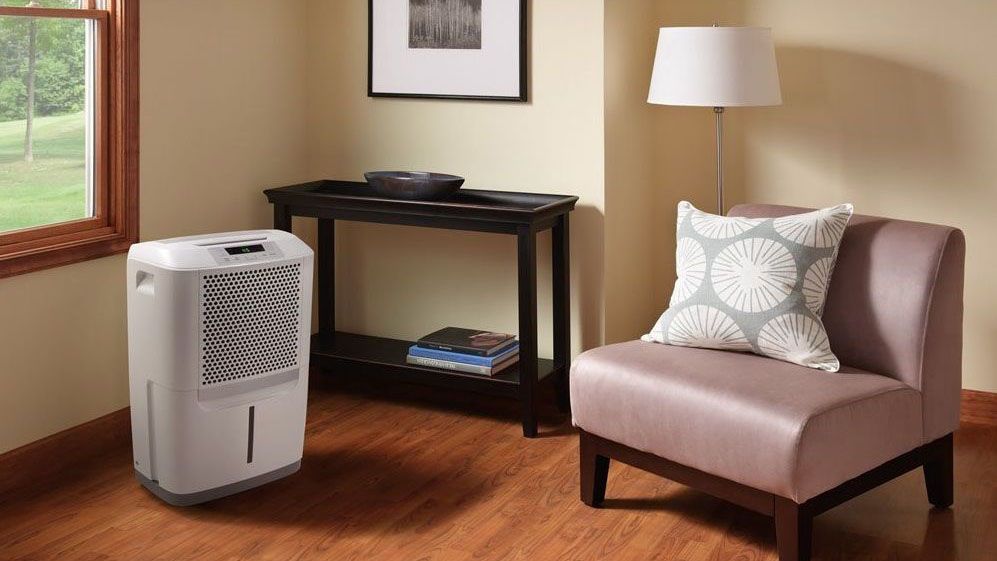 Best Dehumidifiers 2019 Stop Mold From Dampening Your Day