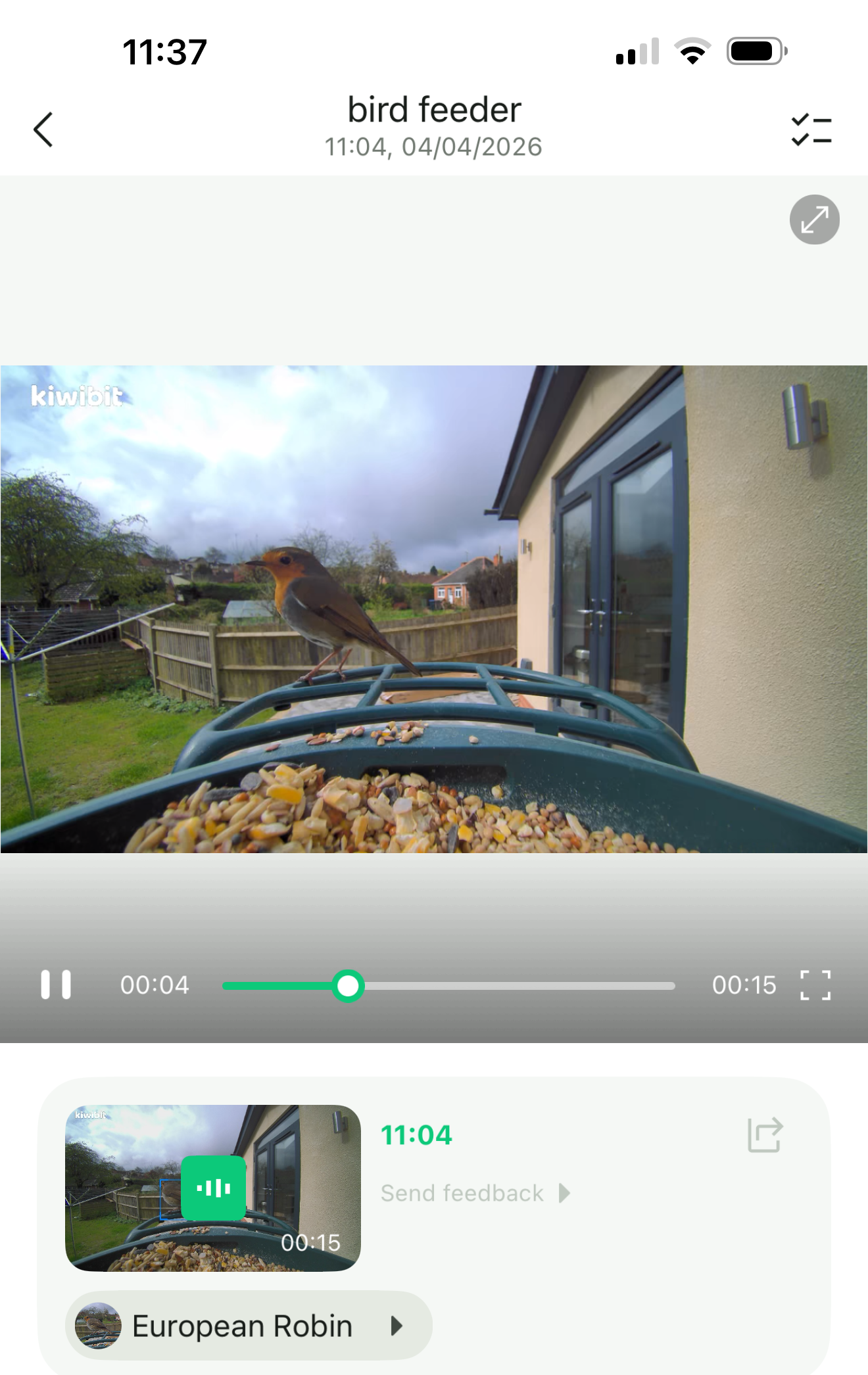 A Beako AI 4K smart bird feeder