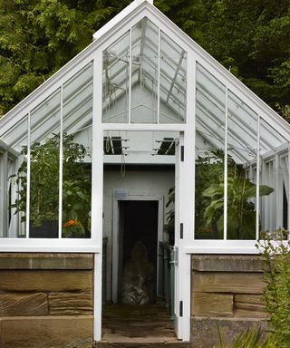 A clean greenhouse