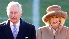 Camilla alone - King Charles and Queen Consort Camilla
