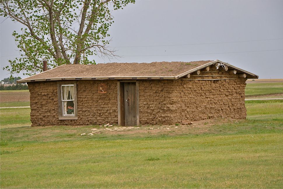 Tallgrass Prairie Ecosystem Images North American Prairies Live Science