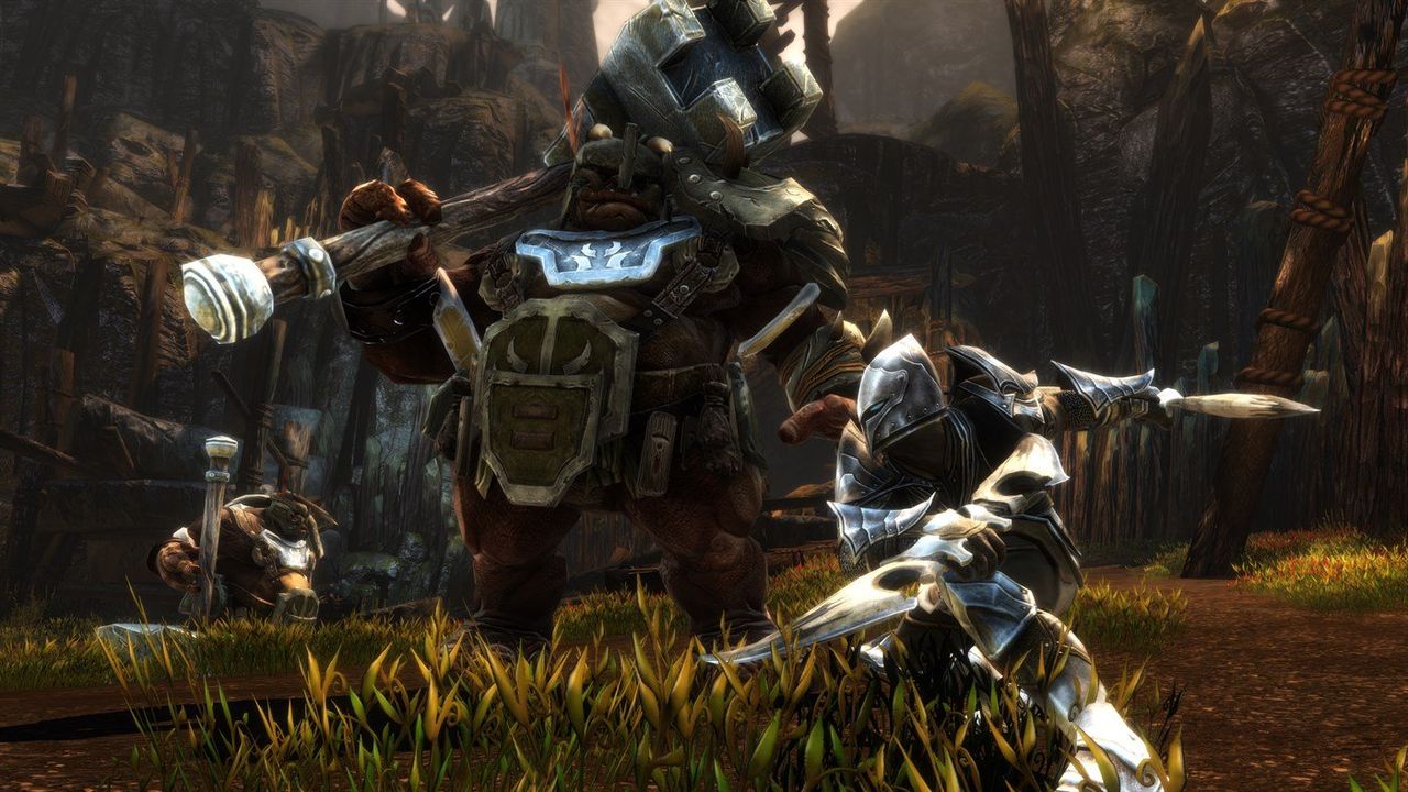 Kingdoms Of Amalur Screenshot