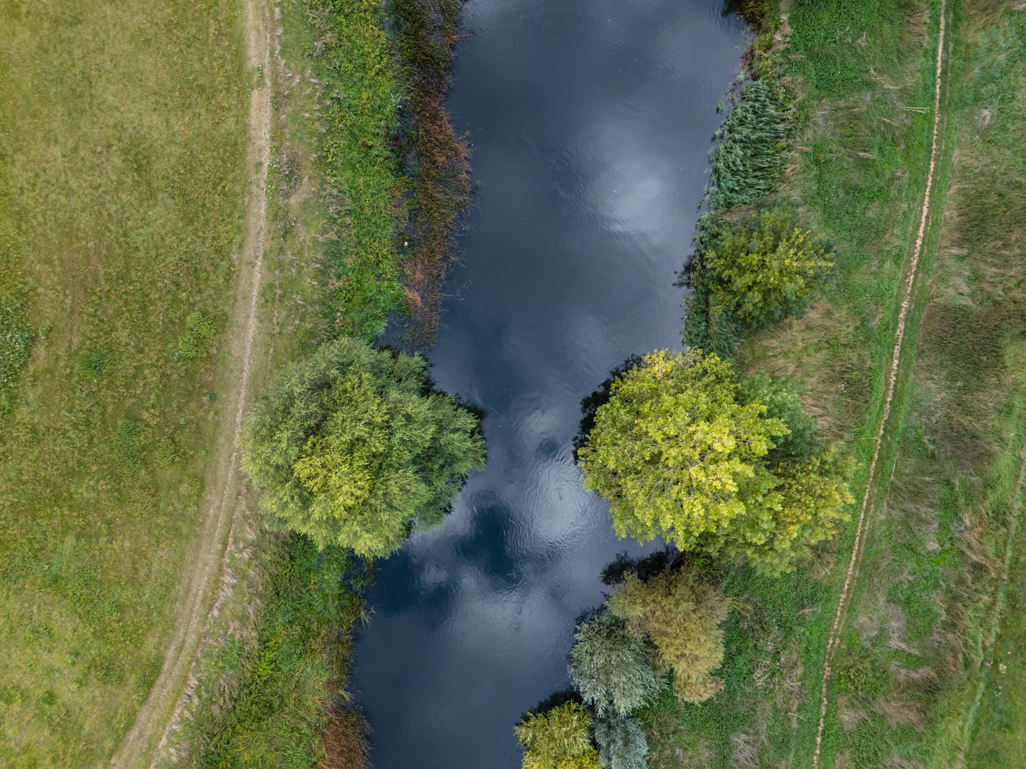 aerial view of a calm stream running between to grassy areas. Two trees, or large bushes stand opposite one another on the shores of the stream in the image center.