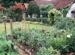 organic gardening: cottage garden with veg plot