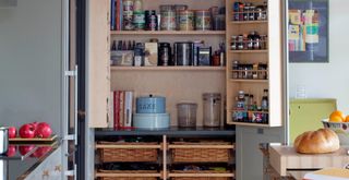 Close up image of blue kitchen pantry with doors open showing food produce in jars and storage to demonstrate professional decluttering methods