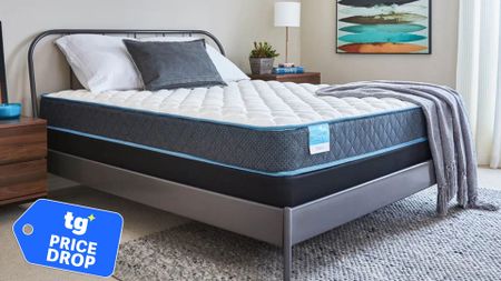 The Sleepy's Basic Innerspring Firm Mattress in a bedroom. In the bottom left hand foreground. there is a "Price Drop" deals badge.