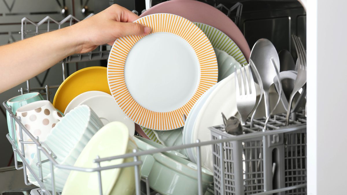 How to make your dishwasher last longer and need fewer repairs Tom's Guide