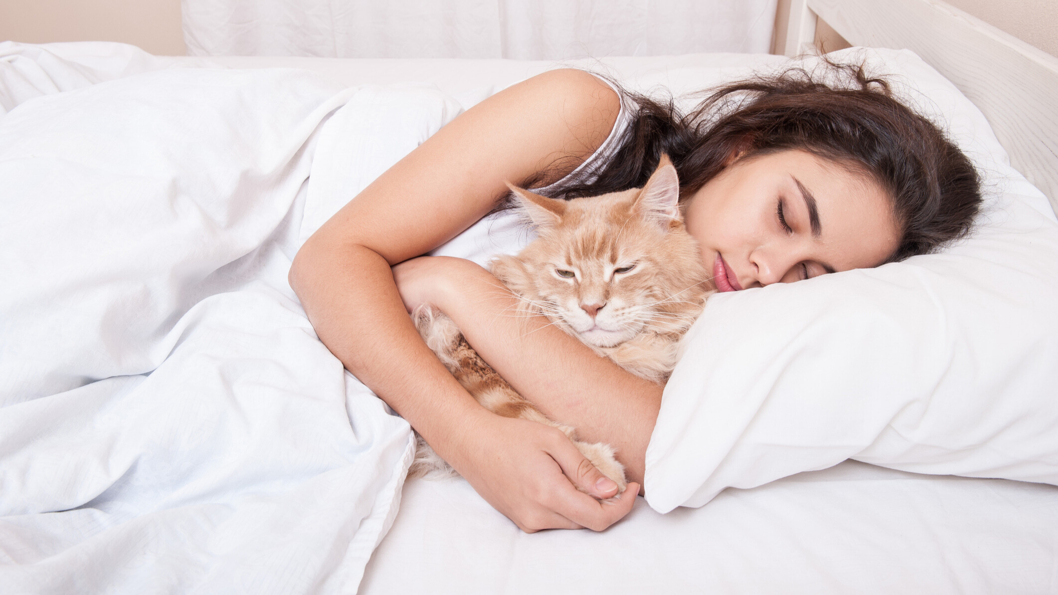 A white and orange cat lies next to a sleeping woman in bed 