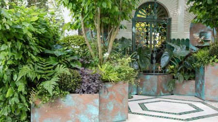 courtyard garden featuring large planted containers with trees and other plants, with a paved patio area