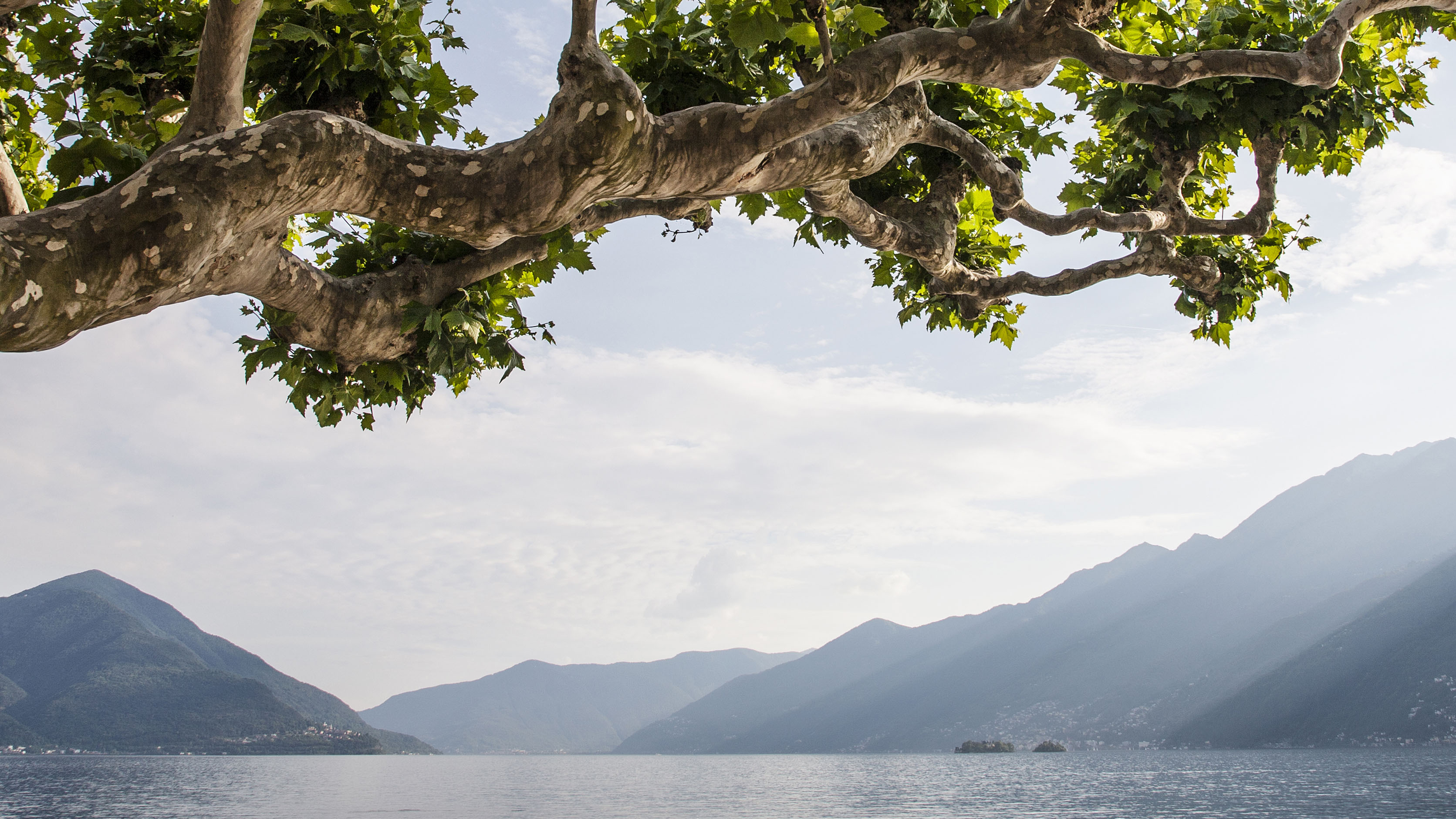 Lake Maggiore, on the Swiss-Italian border
