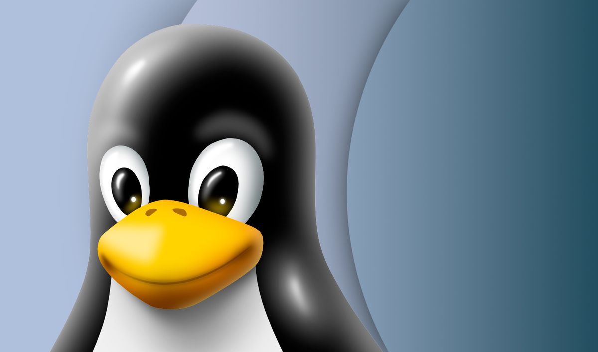 Read more about the article These critical security bugs put Linux servers at risk of attack