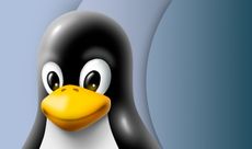 Close up of the Linux penguin.
