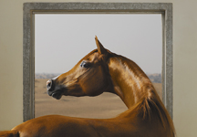 tim-flach.jpg