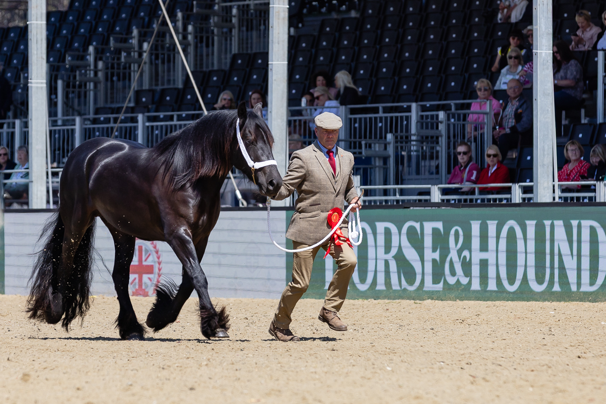 RWHS_H&amp;amp;H In Hand Supreme_-18