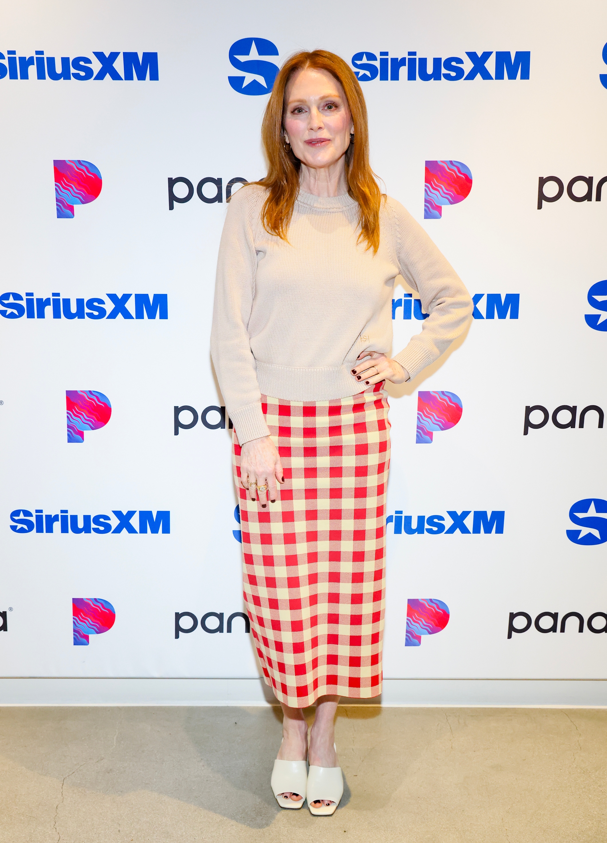 Julianne Moore wearing gingham skirt