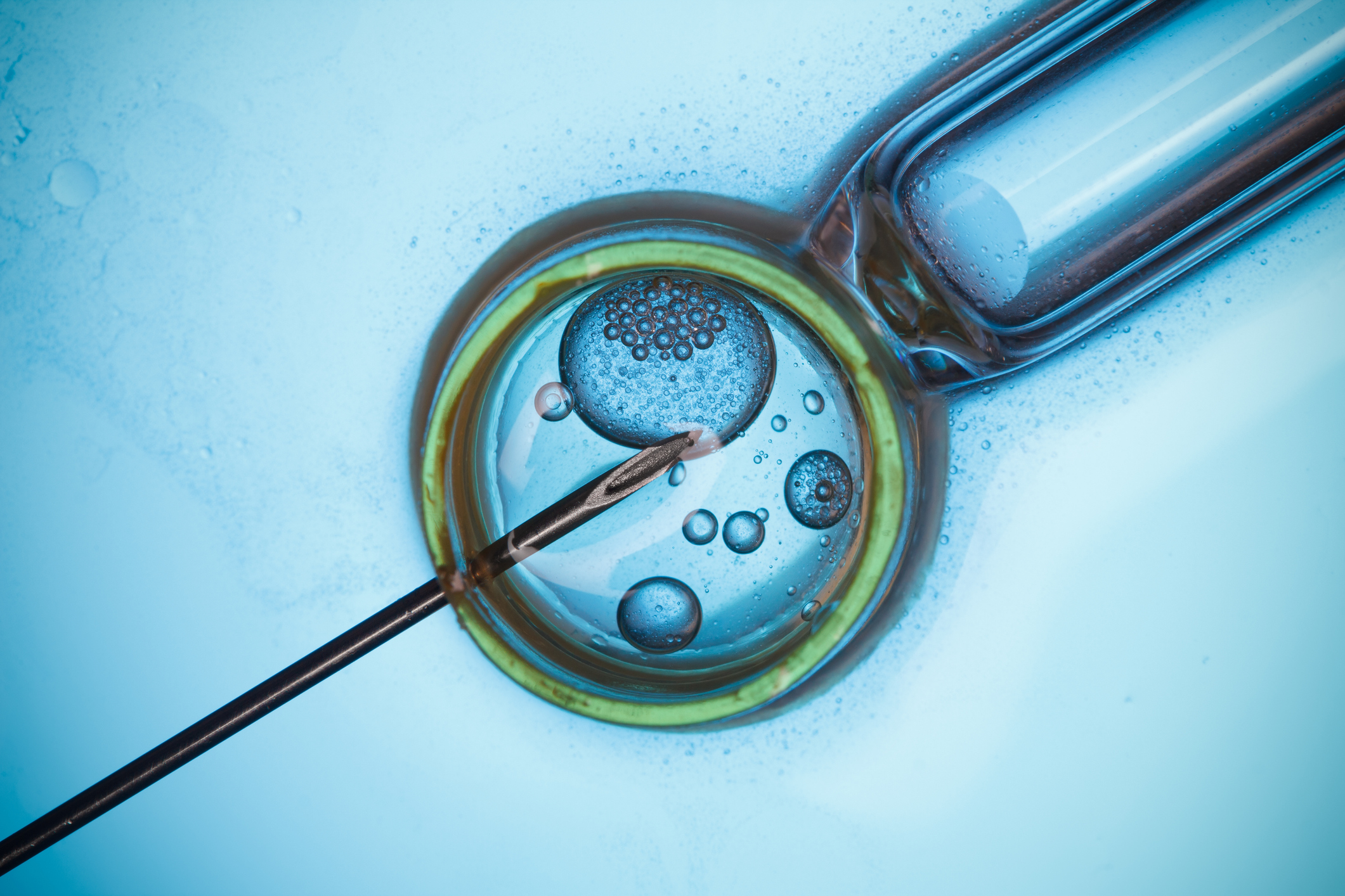 Biotech virus, medicine and research concept
