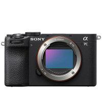 Sony A7C II (body; silver)