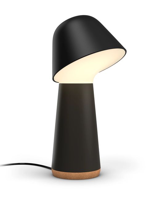 Twilight Smart LED Sleep and Wake-Up Lamp