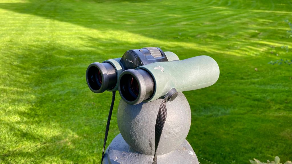 Best Binoculars 2024 Get A Closer Look T3   4dwNtTHBgZ5Gdi95Rmab6F 1024 80 