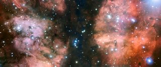 New stars in the War and Peace Nebula