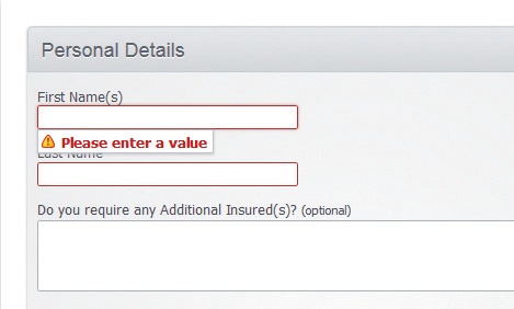 This field is highlighted and displays the associated error message on hover and focus