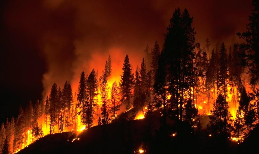 Fire