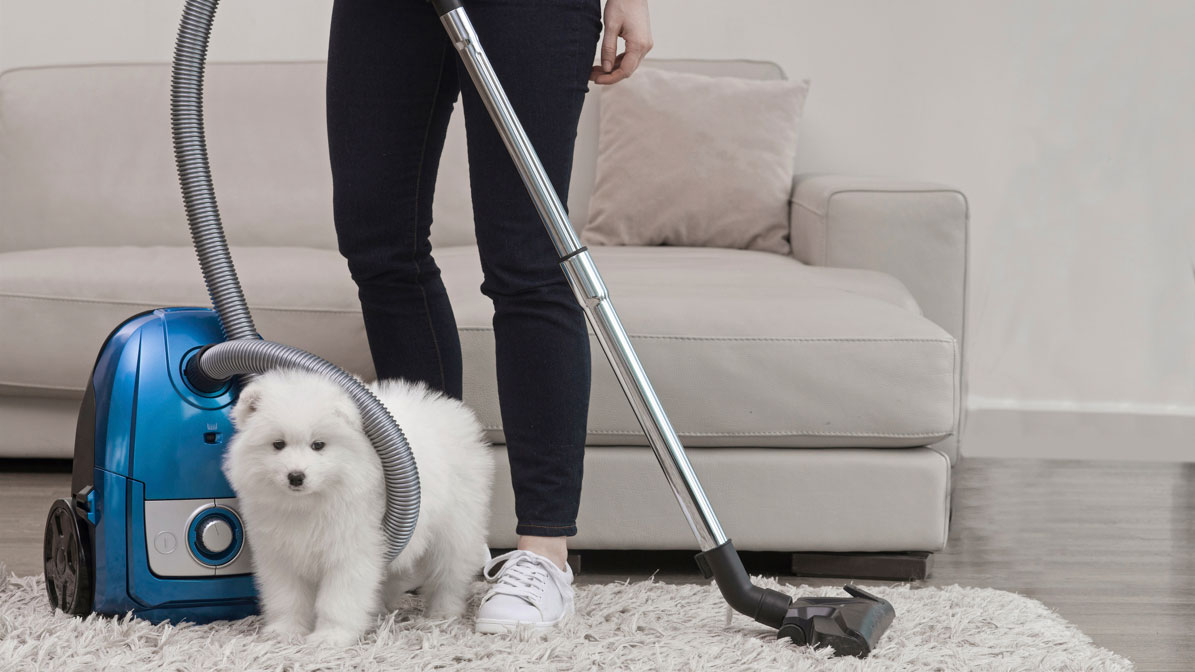 The Best Vacuums for Pet Hair in 2023, Tested and Reviewed