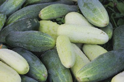 Here's The Difference Between Persian Cucumbers And English Cucumbers