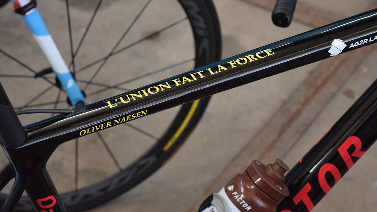 Contrasting decals stand out on the black base coat of the frame