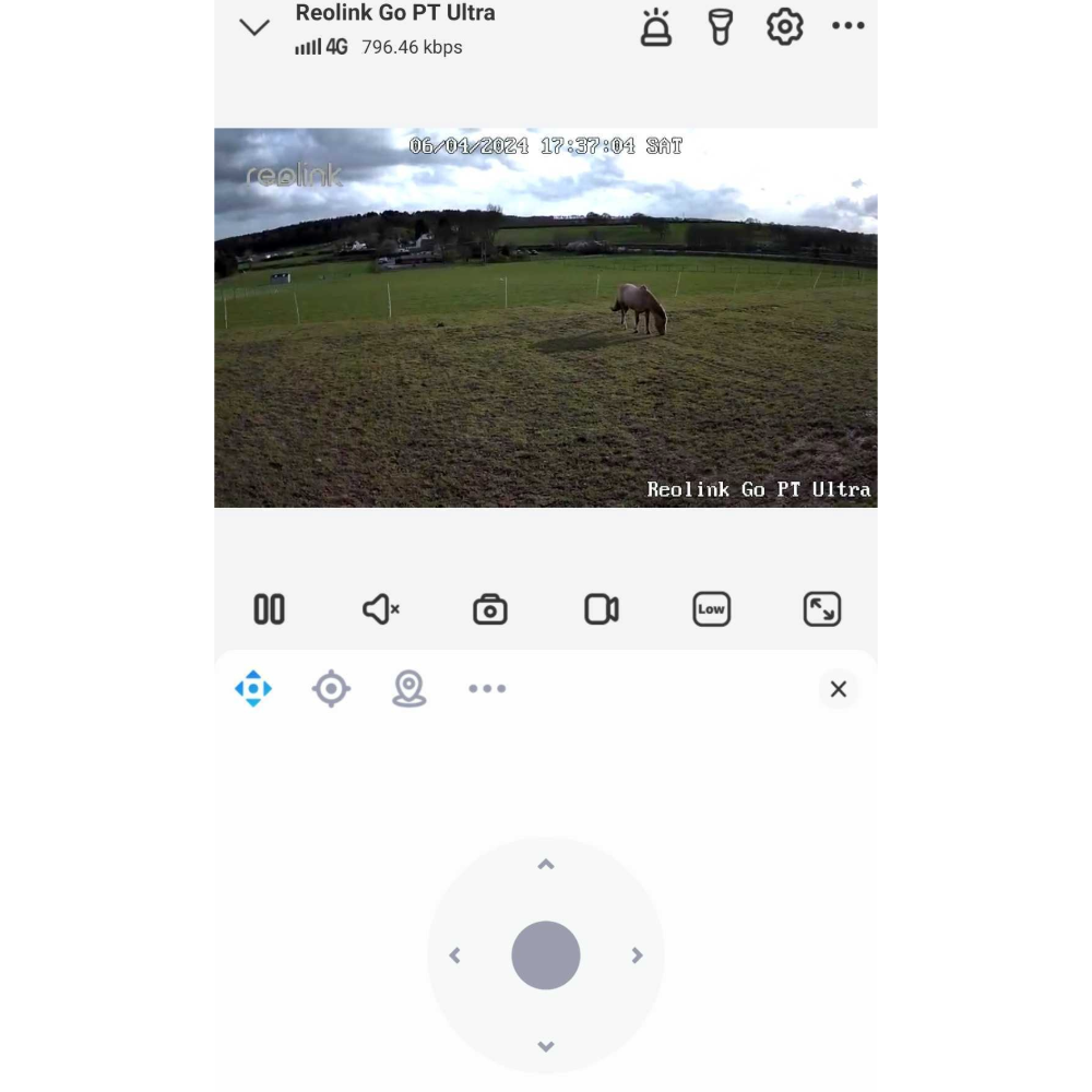 Georgia's view of her horse in the field from the Reolink Go PT Ultra Plus, one of the best pet cameras