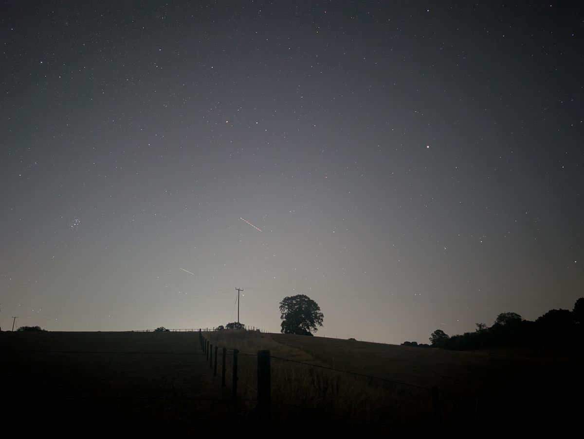 Meteor and plane trails across a clear night sky during the Perseid Meteor Shower 2026, framed by tree silhouettes and the horizon