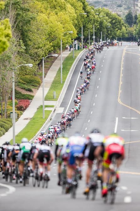 Single file for main bunch