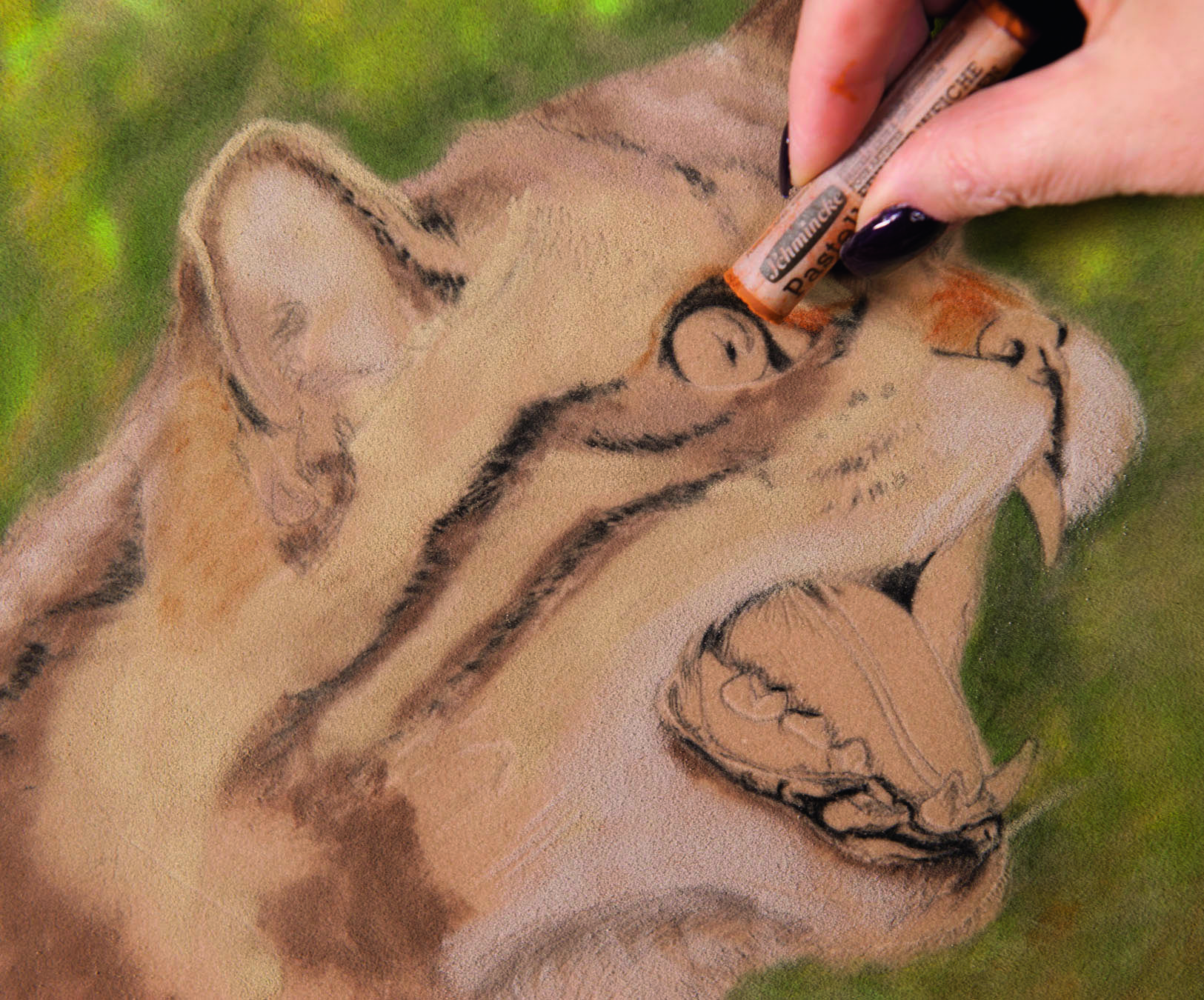 cómo dibujar pieles con colores pastel - pintura de un gato