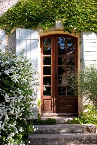 Front door with climbing plants
