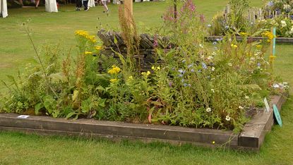 Weed filler garden at Tatton Park Flower Show