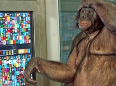 Great Ape Trust