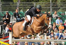 peter-charles-pom-dami.jpg