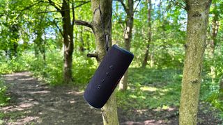 JBL Flip 6 hanging from a tree