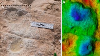This is the first human footprint discovered at Alathar, and its corresponding digital elevation model.