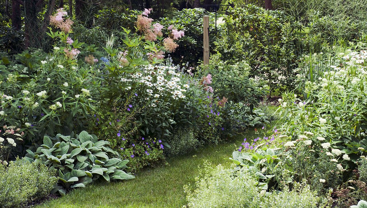 flower garden with large pink rose bush