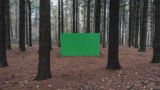 A green rectangle placed in an image of a forest.