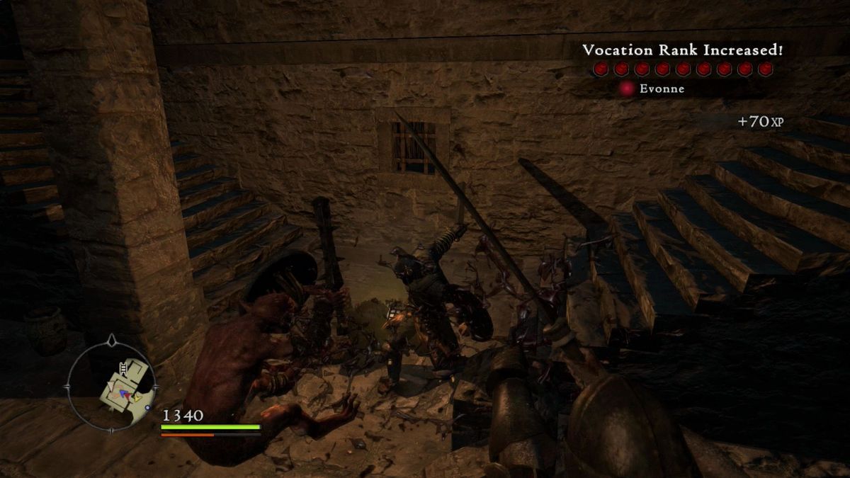 Dragon's Dogma 22
