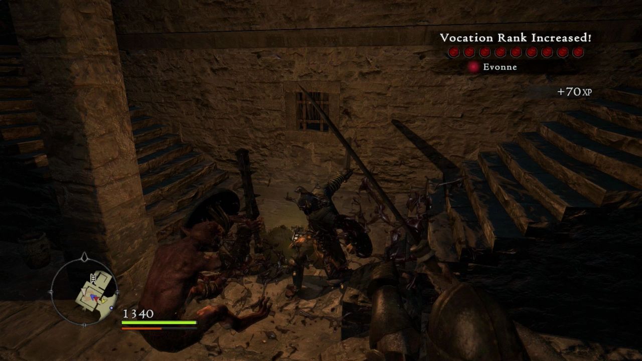 Dragon's Dogma 22