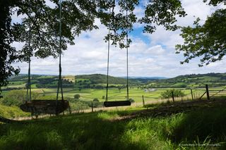 The grounds at Mandinam, Llangadog