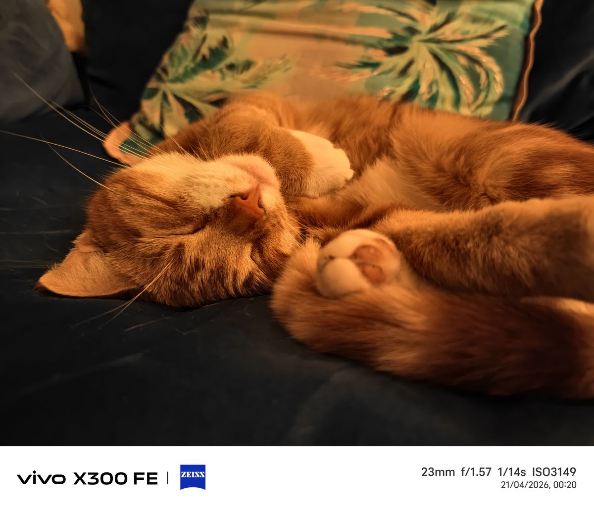 Photo samples from the Vivo X300 FE phone