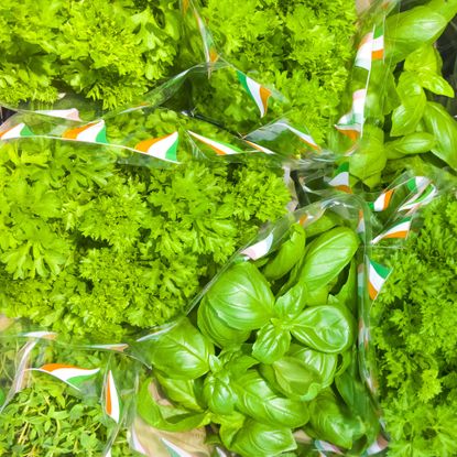 Grocery store herbs in plastic wrap packed closely together