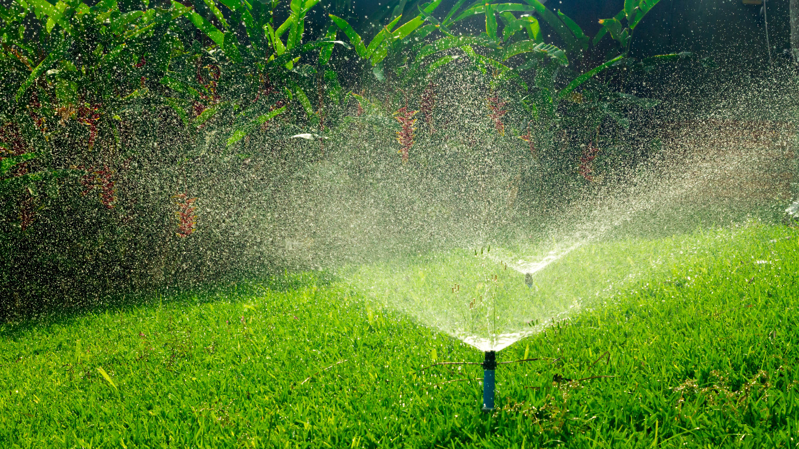 A lawn being watered by sprinklers at night