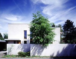 Daytime image, white building, windows, trees, concrete pathway, shrubs, blue sky with light white clouds